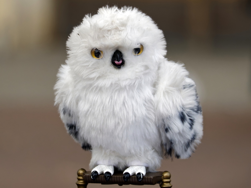 27 - Wizarding World Enchanting Hedwig interactive owl plush toy from Spin Master
